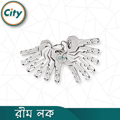 অটো লক সুরক্ষা লক রিম লক হেভি আয়রন রিম লক প্রধান প্রবেশের দরজার জন্য অনেক চাবি সহ দরজার লক_img_5