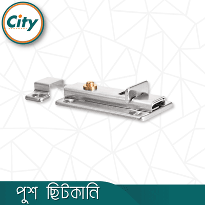 ১ পিস পুশ ছিটকানি ৩ অথবা ৪ ইঞ্চি স্টেইনলেস স্টিলের বাকল বোল্ট অটোমেটিক স্প্রিং লাচ বোল্ট_img_4