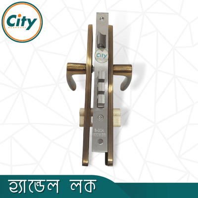 অনন্য রঙের উচ্চ সুরক্ষা স্ট্যান্ডার্ড সাইজের হ্যান্ডেল লক প্রধান দরজার লক Door Lock_img_4