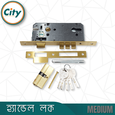 অনন্য রঙের উচ্চ সুরক্ষা স্ট্যান্ডার্ড সাইজের হ্যান্ডেল লক প্রধান দরজার লক Door Lock_img_5
