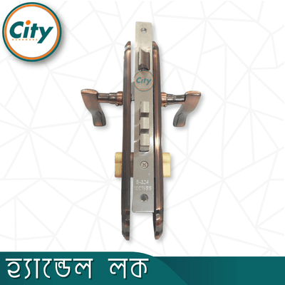 উচ্চ সুরক্ষা স্ট্যান্ডার্ড সাইজের হ্যান্ডেল লক প্রধান দরজার জন্য অ্যান্টিক রঙের দরজার লক Door Lock_img_4