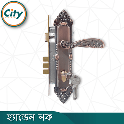 এন্টিক রঙের ডোর লক উচ্চ সুরক্ষার স্ট্যান্ডার্ড সাইজের হ্যান্ডেল লক প্রধান দরজার লক Door Lock_img_1
