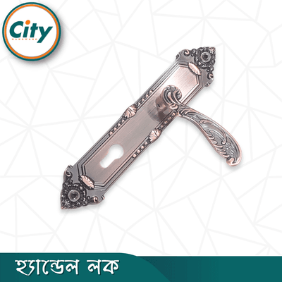 এন্টিক রঙের ডোর লক উচ্চ সুরক্ষার স্ট্যান্ডার্ড সাইজের হ্যান্ডেল লক প্রধান দরজার লক Door Lock_img_4